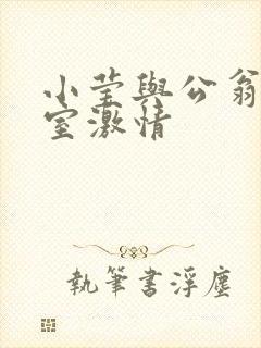 小莹与公翁办公室激情