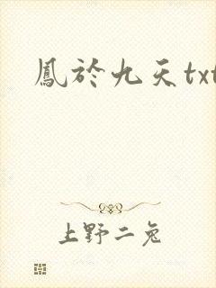 凤于九天txt
