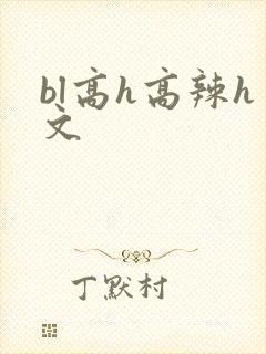 bl高h高辣h文