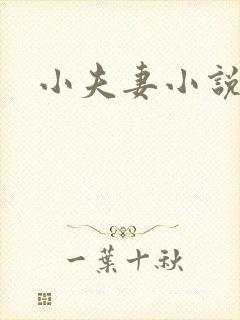 小夫妻小说
