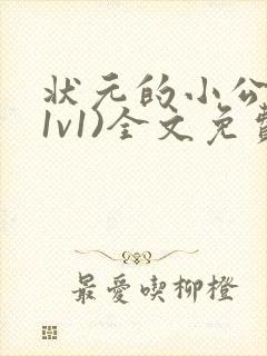 状元的小公主(1v1)全文免费阅读