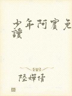 少年阿宾免费阅读