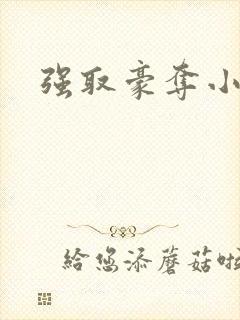 强取豪夺小说