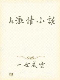 h激情小说