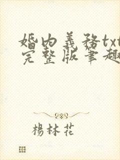 婚内义务txt完整版笔趣阁