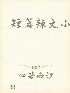 短篇辣文小说