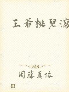 王爷桃儿泻了封面