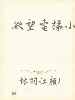 欲望电梯小说