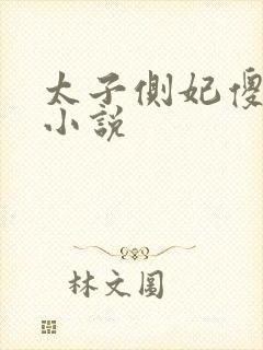 太子侧妃傻乎乎小说