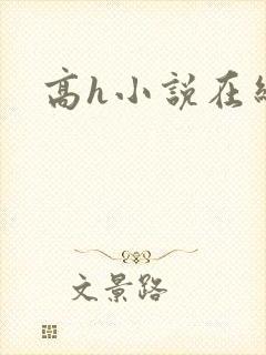 高h小说在线看