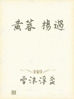 黄蓉 杨过