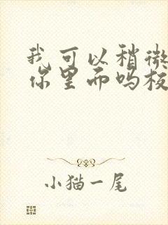 我可以稍微放进你里面吗校园版