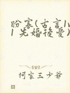 盼寡(古言1v1 先婚后爱)