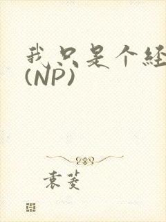 我只是个经纪人(NP)