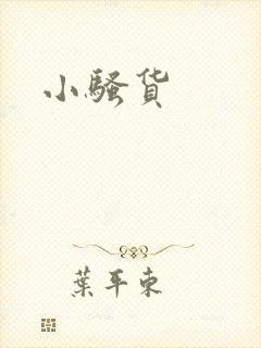 小骚货封面