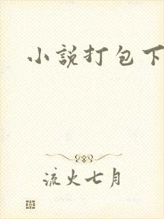 小说打包下载