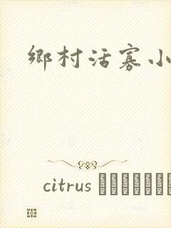 乡村活寡小说封面