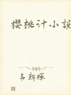 樱桃汁小说