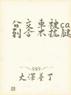 公交车被cao到合不拢腿视频封面