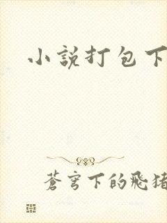小说打包下载