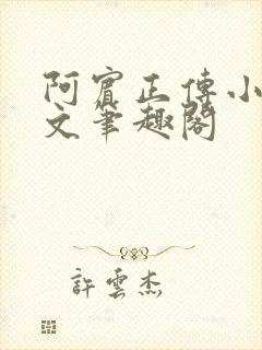 阿宾正传小说全文笔趣阁封面