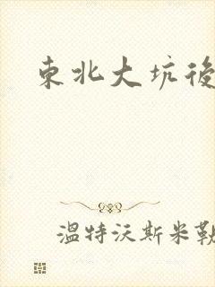 东北大坑后续2