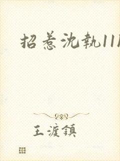 招惹沈执11h封面
