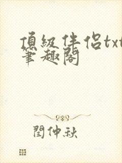 顶级伴侣txt笔趣阁