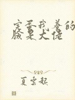 完蛋我养的小白脸是大佬