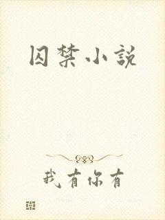 囚禁小说