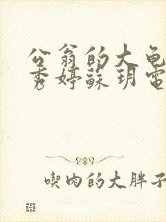 公翁的大龟挺进秀婷苏玥电影