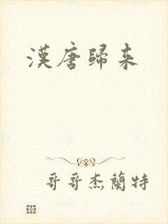 汉唐归来封面