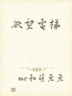 欲望电梯