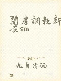 闺房调教新婚之夜sm封面