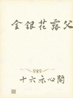 金银花露父欲