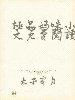 极品妈咪小说全文免费阅读