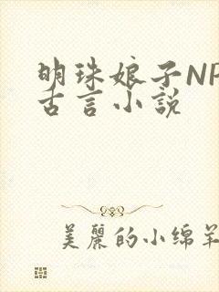 明珠娘子NPC古言小说
