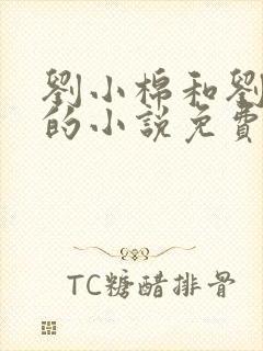 刘小棉和刘易文的小说免费阅读