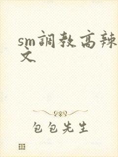 sm调教高辣h文