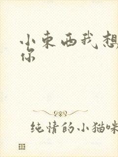 小东西我想弄坏你
