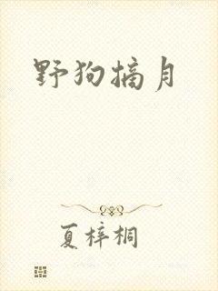 野狗摘月