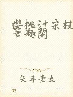 樱桃汁宋枝江野笔趣阁封面