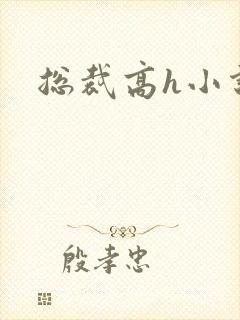 总裁高h小说