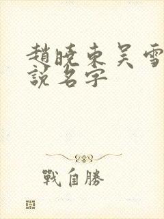 赵晓东吴雪晴小说名字