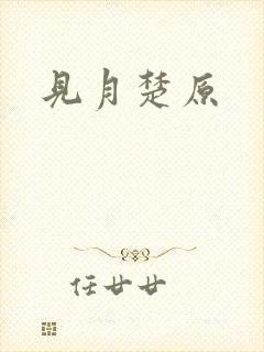 见月楚原封面
