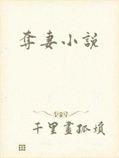 夺妻小说