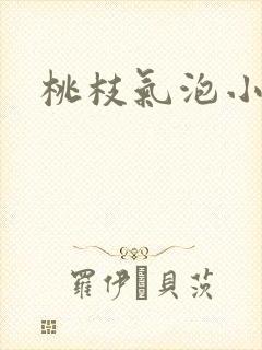 桃枝气泡小说