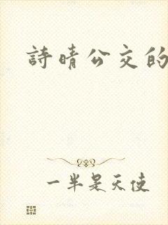 诗晴公交的小说封面