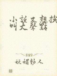 小说又想挨C了叫大声点