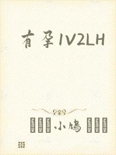 有孕1V2LH
